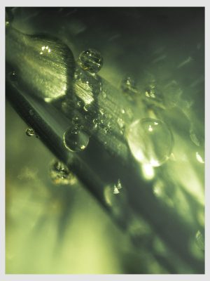 Glittering Drops