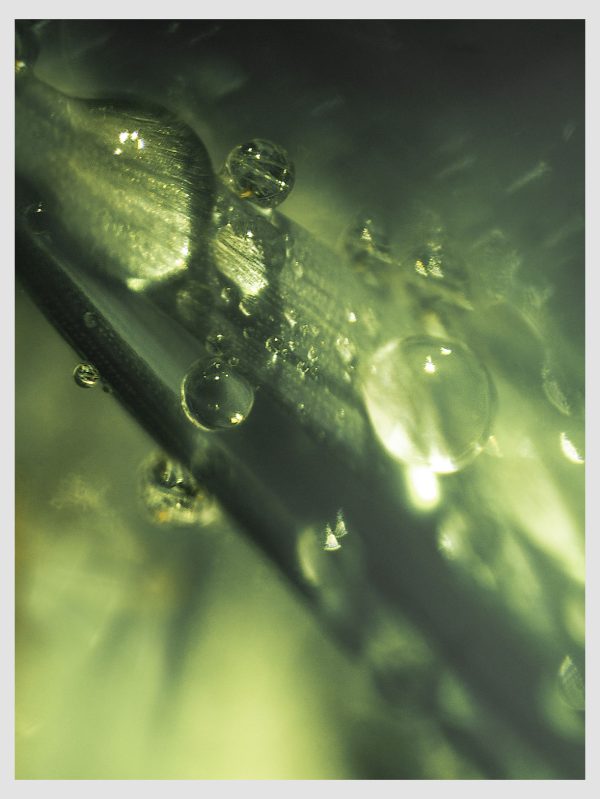 Glittering-Drops Glittering Drops