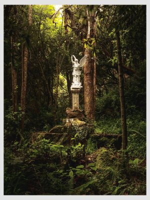Mountain Angel